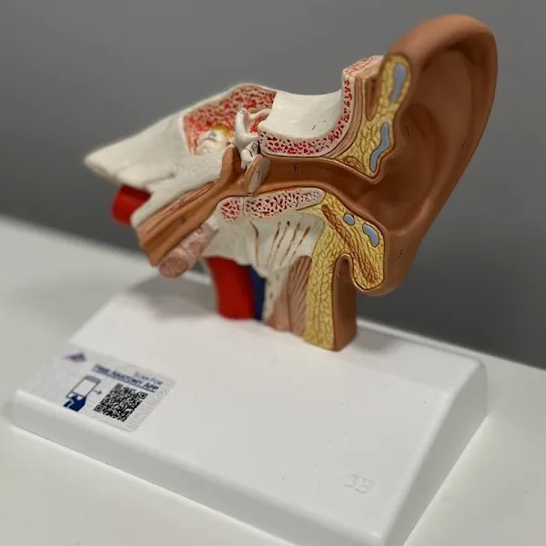 Ear Examination - Reviewed by Specialists